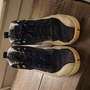 Nike Air Jordan 12